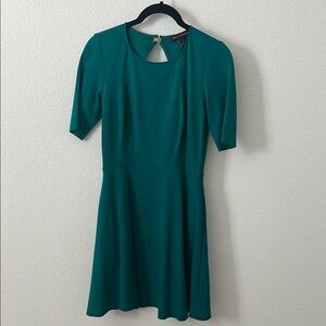 Banana Republic Green Fit and Flare Mini Dress